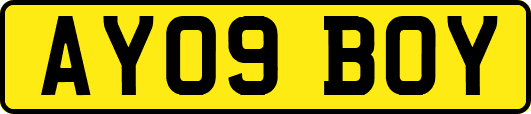 AY09BOY