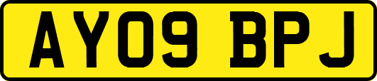 AY09BPJ