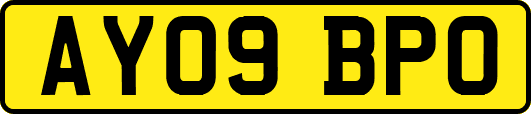 AY09BPO
