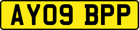 AY09BPP