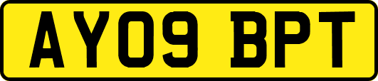 AY09BPT