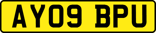 AY09BPU