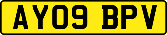 AY09BPV