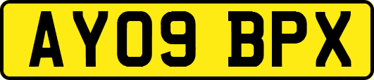 AY09BPX