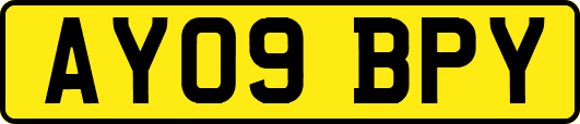 AY09BPY