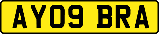 AY09BRA