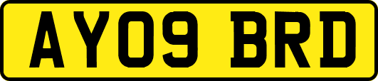 AY09BRD