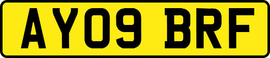 AY09BRF