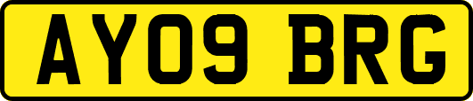 AY09BRG