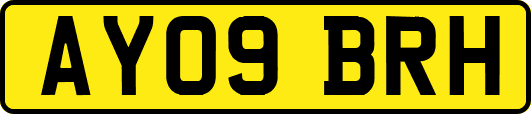 AY09BRH