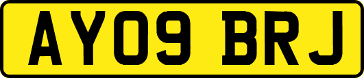 AY09BRJ