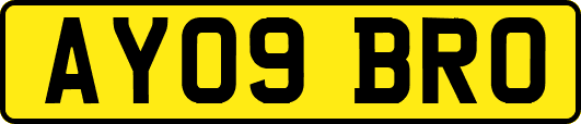 AY09BRO