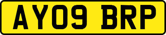 AY09BRP