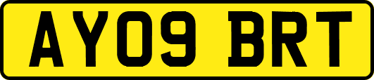 AY09BRT