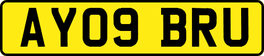 AY09BRU
