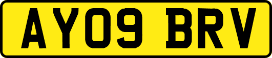AY09BRV
