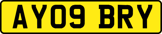 AY09BRY