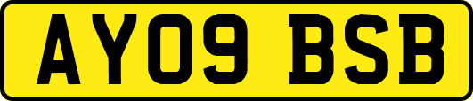 AY09BSB
