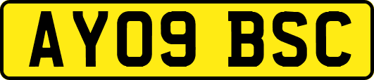 AY09BSC