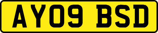 AY09BSD