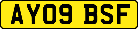 AY09BSF
