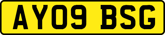 AY09BSG