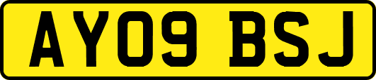 AY09BSJ