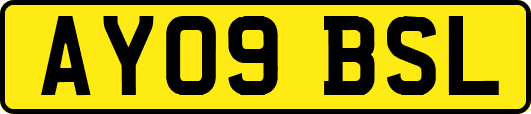 AY09BSL