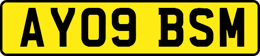 AY09BSM