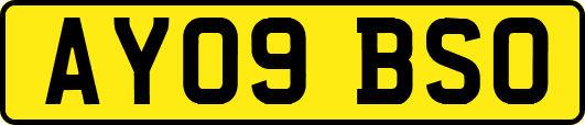 AY09BSO