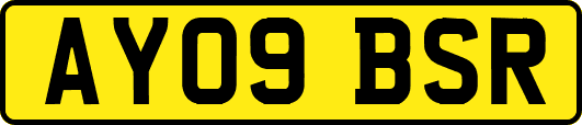 AY09BSR