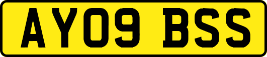 AY09BSS