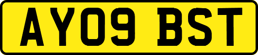 AY09BST