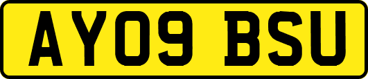 AY09BSU
