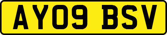 AY09BSV