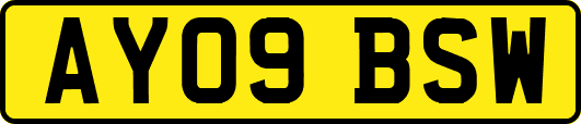 AY09BSW