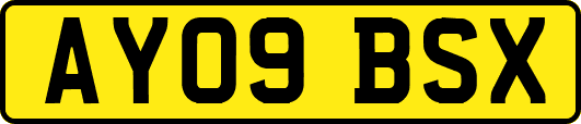 AY09BSX