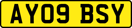 AY09BSY