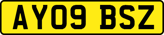 AY09BSZ