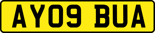 AY09BUA