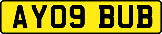 AY09BUB