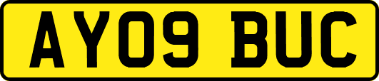 AY09BUC