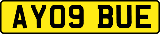 AY09BUE
