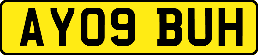 AY09BUH