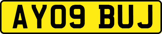 AY09BUJ