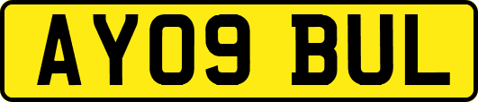 AY09BUL
