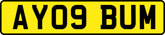 AY09BUM