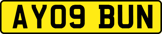 AY09BUN