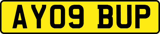 AY09BUP