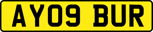 AY09BUR